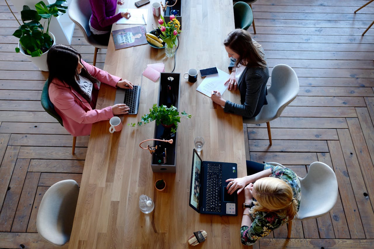 Business Image Cowomen 1058097 2041627